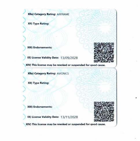 Aviation licence back